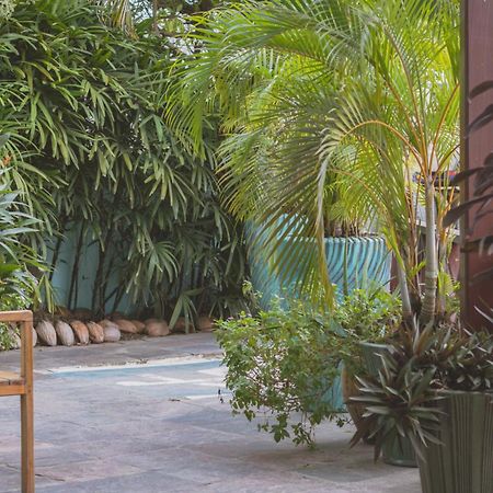 Hotel Palma Royale Bocas del Toro Exterior foto